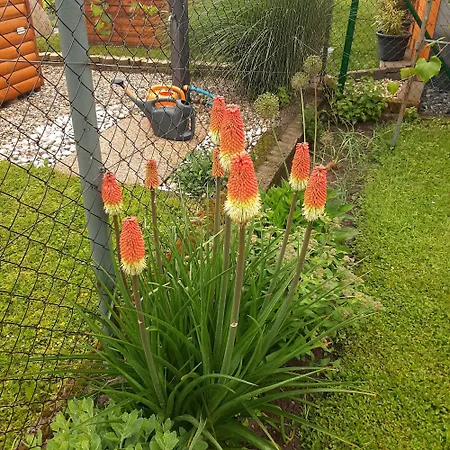 U Mna Doma Διαμέρισμα *