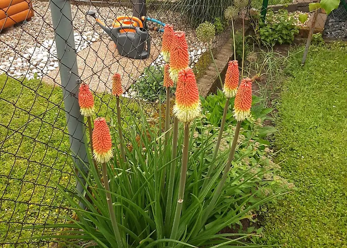 U Mna Doma Apartamento *